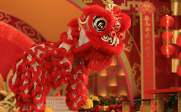 Traditional lion dance performances for cultural celebrations and openings