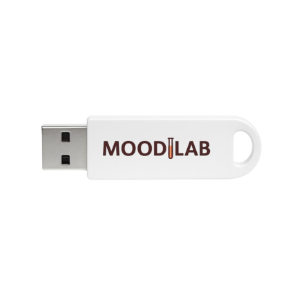 USB Flash Drive